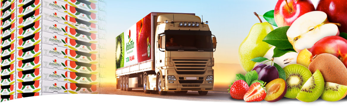 Consorzio Solonatura Partners